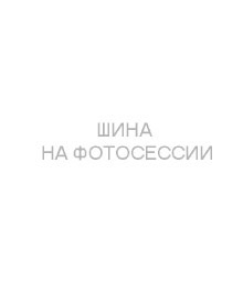 Шины Michelin Primacy 5 225/45 R17 91W
